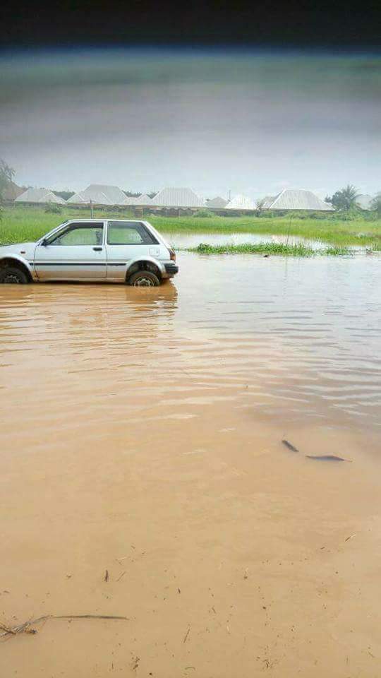 DavidMzer's tweet photo. Over 10,000 people affected by the flood in Makurdi, Benue state.The people need relief materials. 
#SaveBenue 
#VictimsNeedReliefMaterials https://t.co/G6t3G7rSOl