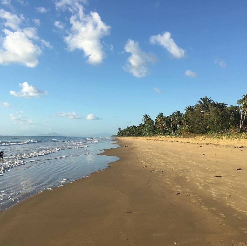 DUTTOURS's tweet photo. CairnsGBR: Good morning from a peaceful #MissionBeach 🌊 Photo by litoriamissionbeach #exploreTNQ https://t.co/nO0ee3iNbV