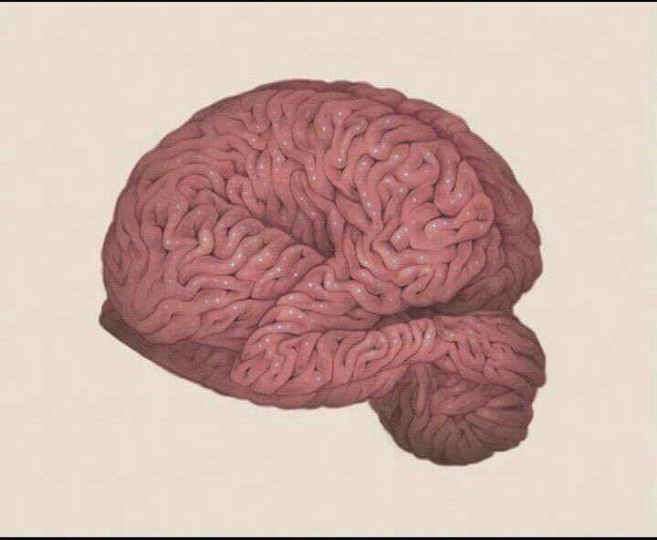 mriamk8's tweet photo. Overthinking. https://t.co/yHmnNmD1F8