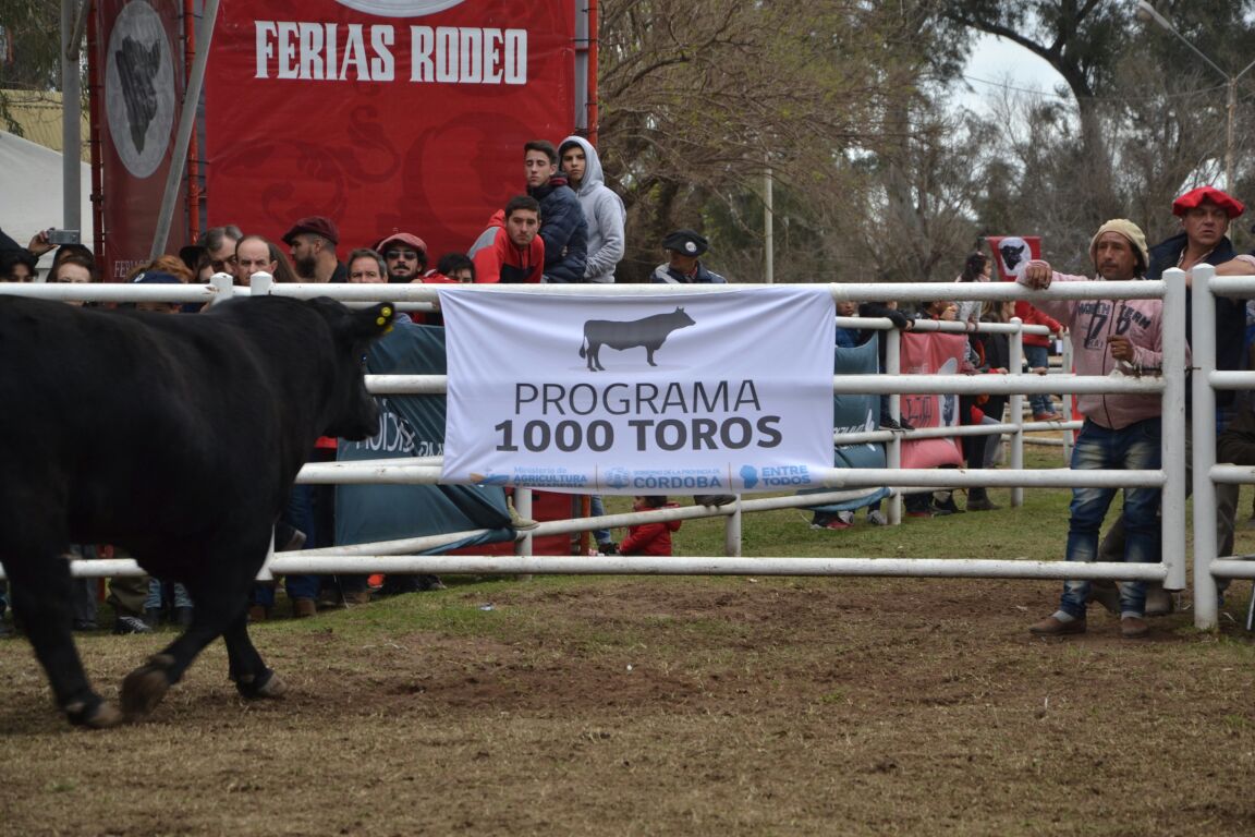 MinAgriCba's tweet photo. Al término del remate que alcanzó cifras records en reproductores @SergioBussoOK destacó la iniciativa provincial #1000Toros #HuincaRenanco https://t.co/EcMO3zT9lX