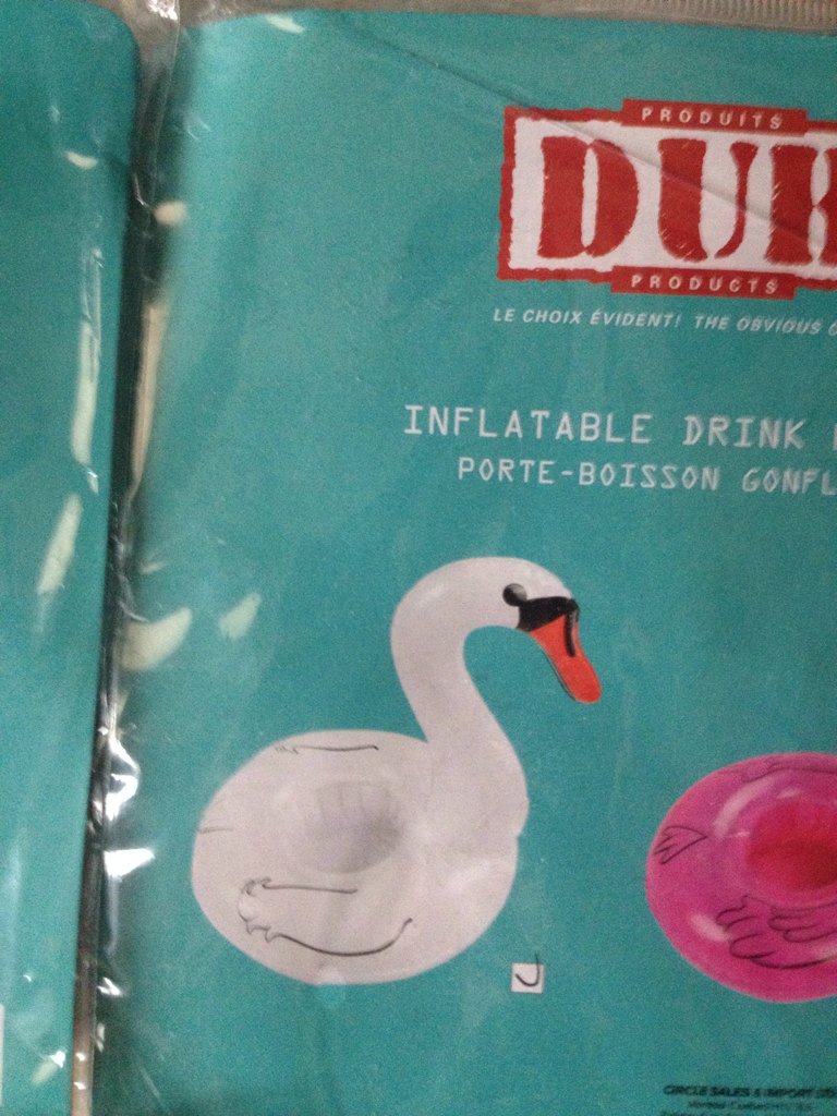 wes_wes614's tweet photo. @TorontoVino No so I bought This friend for her, tie her to the handle &amp; u r good 2go BAHD #coldAsFrig #noHeat #pool https://t.co/YMd3StGaia