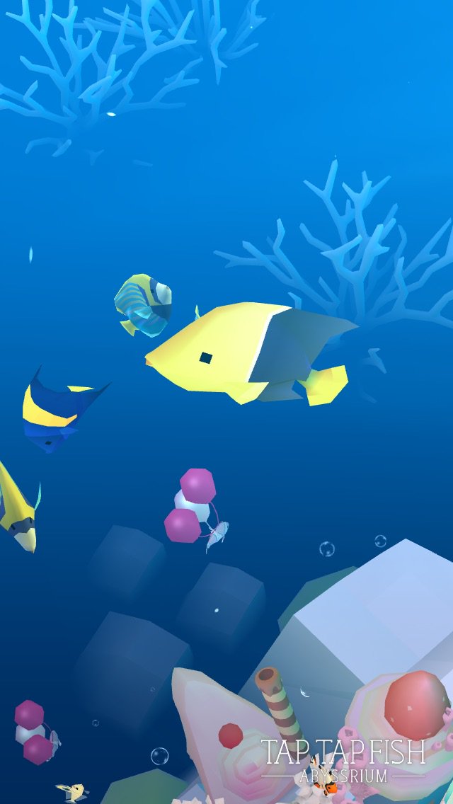 kittytweetss's tweet photo. My Bicolor Angel:) 
#taptapfish
Download: https://t.co/EdGHsAQ8cf https://t.co/hZgI7Ws0wc