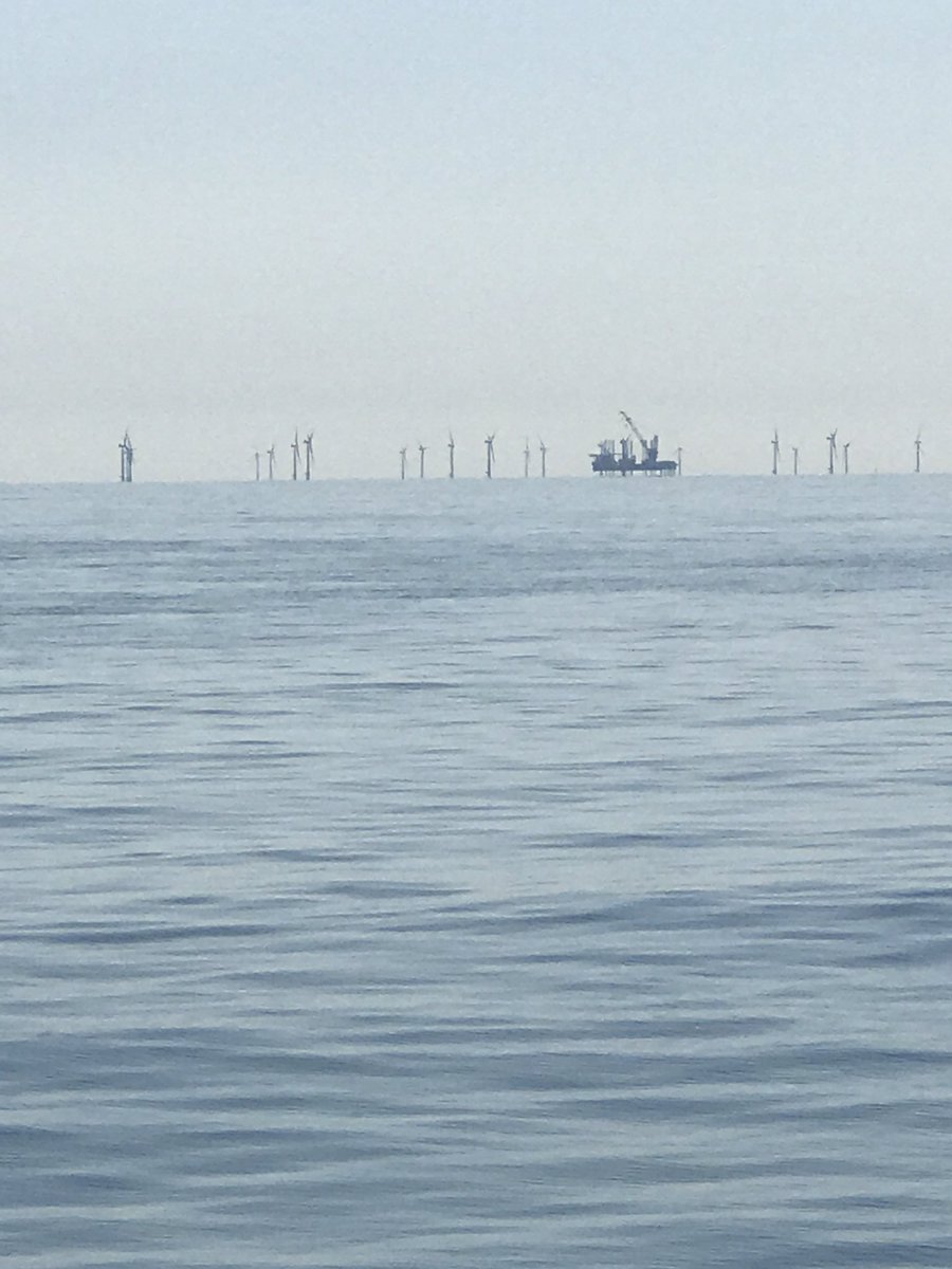PrettyKittyx's tweet photo. Wind farm #💨 https://t.co/kMsaq13KyP