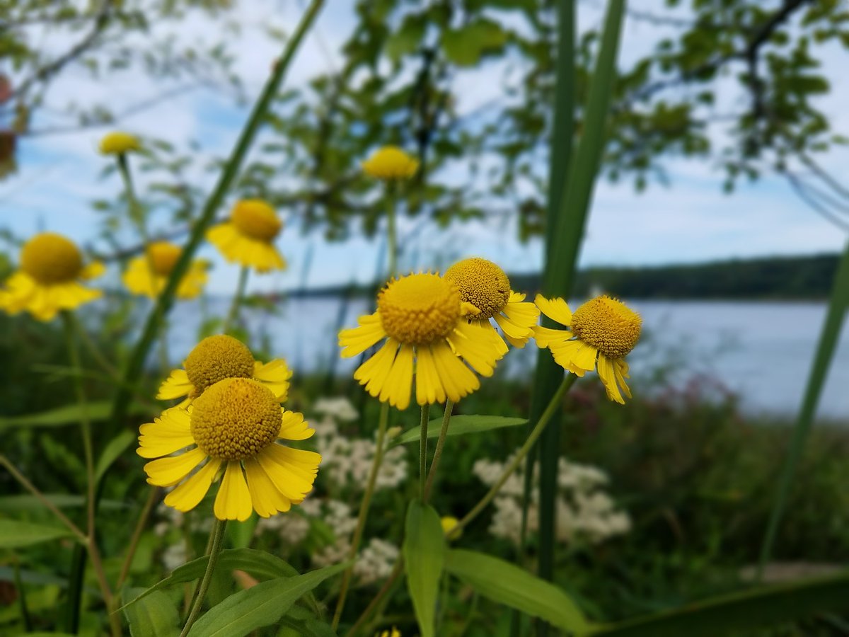 anne246's tweet photo. When presented with a detour involving a Hudson Valley gem: always choose the detour. #ISpyNY #UlsterCounty https://t.co/eeVOP0teuJ