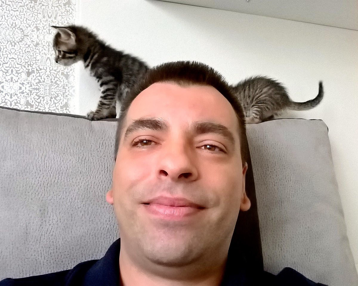 BorisNevermore's tweet photo. Едно ли е, две ли се, долго ли е? Збркитис! 😂😂😂
#kittens #catslove #funselfies https://t.co/6Q7qmsCoc1