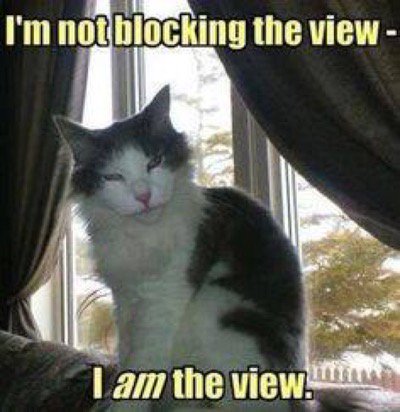 And what a lovely view it is !!