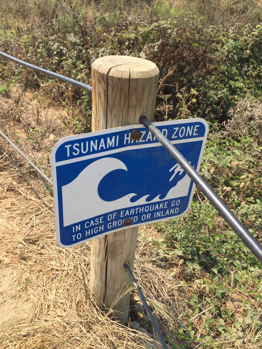 fanalityTV's tweet photo. Almost died 36 separate times biking down the mountain, but it was worth it #muirbeach #SeanFrancisco #escapefromdeathmountain https://t.co/V2n1PNOp8R