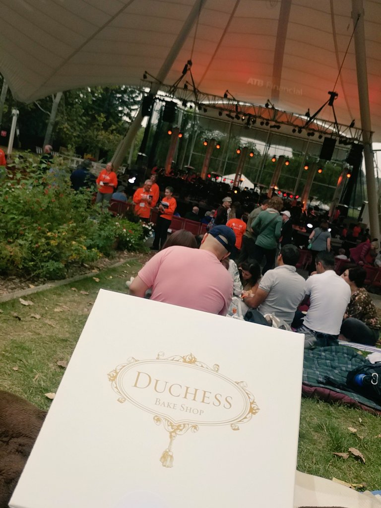 ThatsSewCarley's tweet photo. Doing @edmsymphony right! Night 3 music made extra tasty with @duchessbakeshop! #atbvip #esosuts #atbsuts https://t.co/WnggqZtztb
