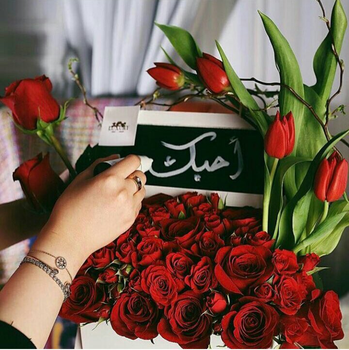 يمر صوته على اذني واهلّي به
واحس الكون يشعر بأجمل اوقاته

واذا قال "احبگ" ضعت كلي به
ويزود النبض في قلبي ودقاته ❤️