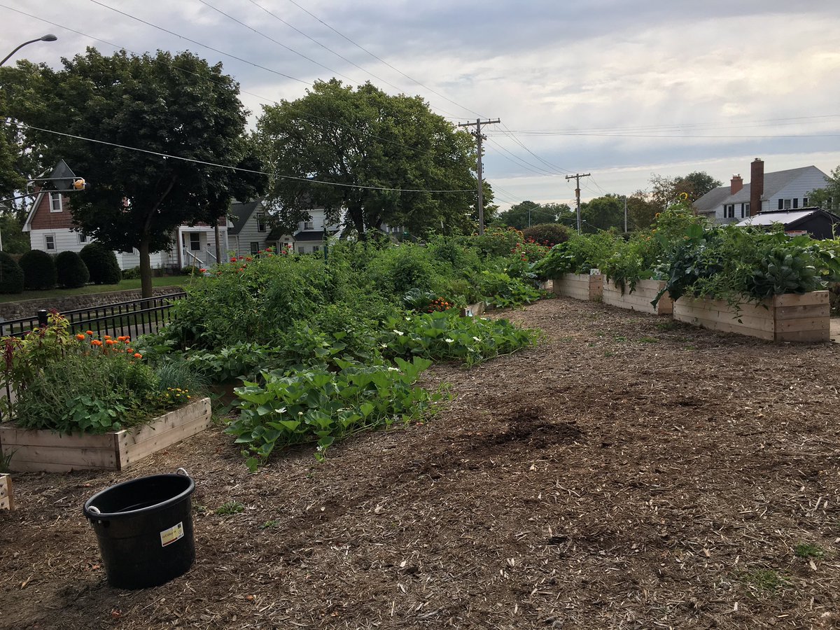 lowellcommunity's tweet photo. Check out the what the first season of our Lowell Farm brought. Each grade played a large part!
#BeTheChange https://t.co/HbuD809HrX
