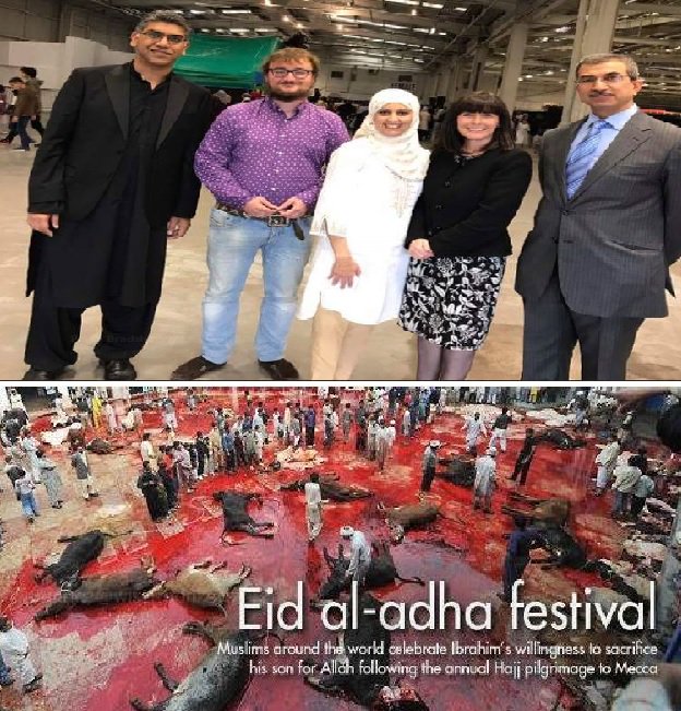 QuantumBridger's tweet photo. @PaulaJaneB @allianceparty Did Paula partake in Eid cultural celebrations of mass cattle slaughter over the weekend with her new friends?? https://t.co/goZwLFgGlm
