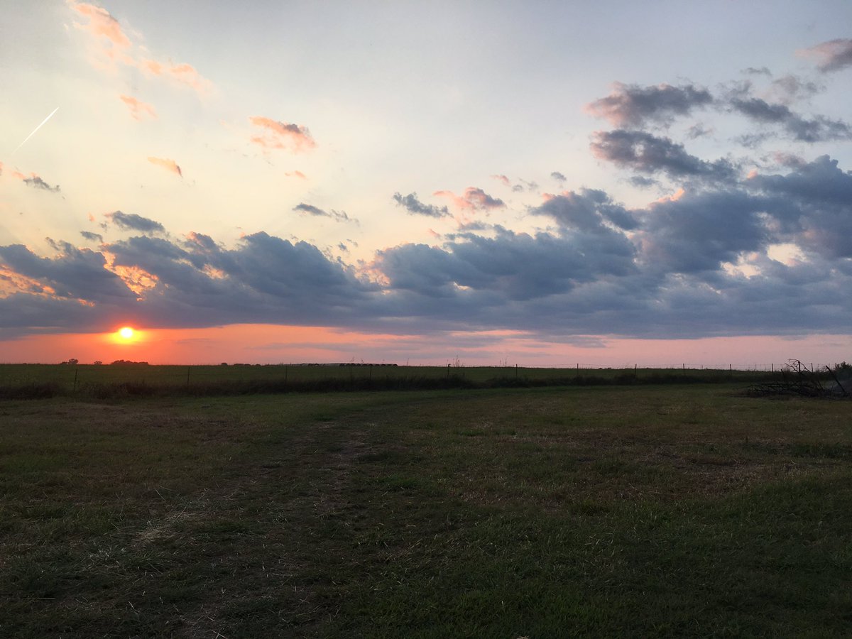 DrBrittonHart's tweet image. Love living in the country! #CountryProblems @Presfhtc @bjordan41 @curtis23833396 @amy16972965 @MistyDonder