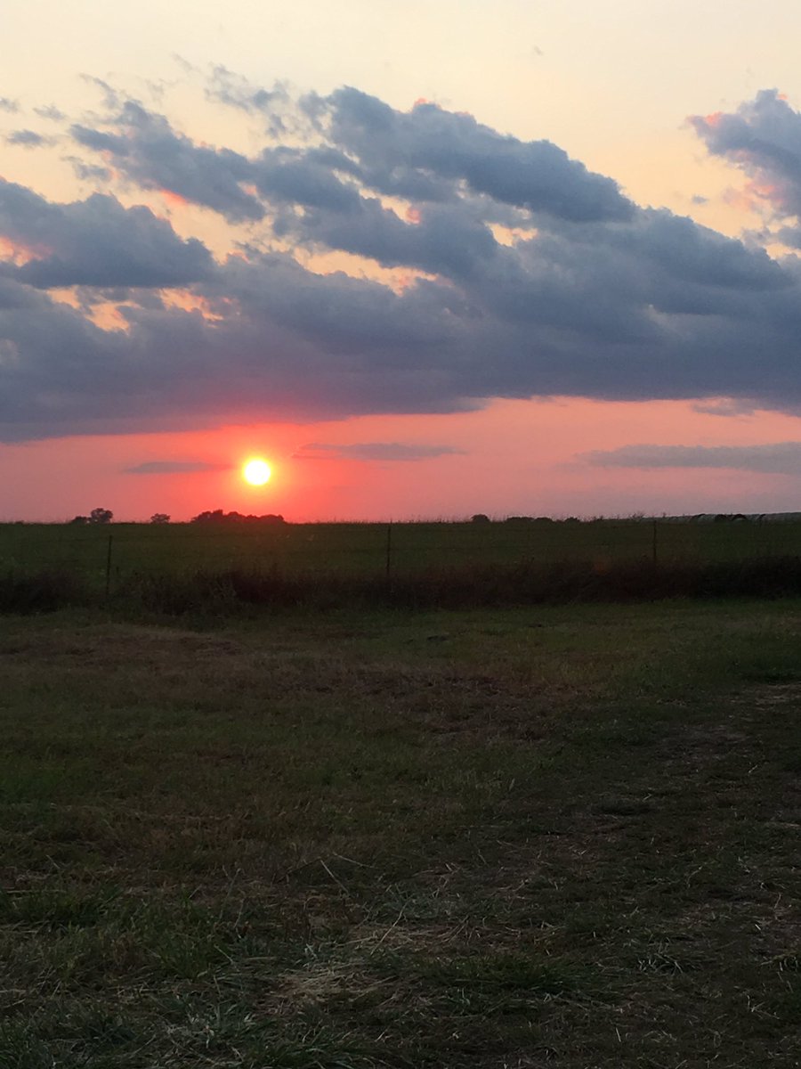 DrBrittonHart's tweet image. Love living in the country! #CountryProblems @Presfhtc @bjordan41 @curtis23833396 @amy16972965 @MistyDonder