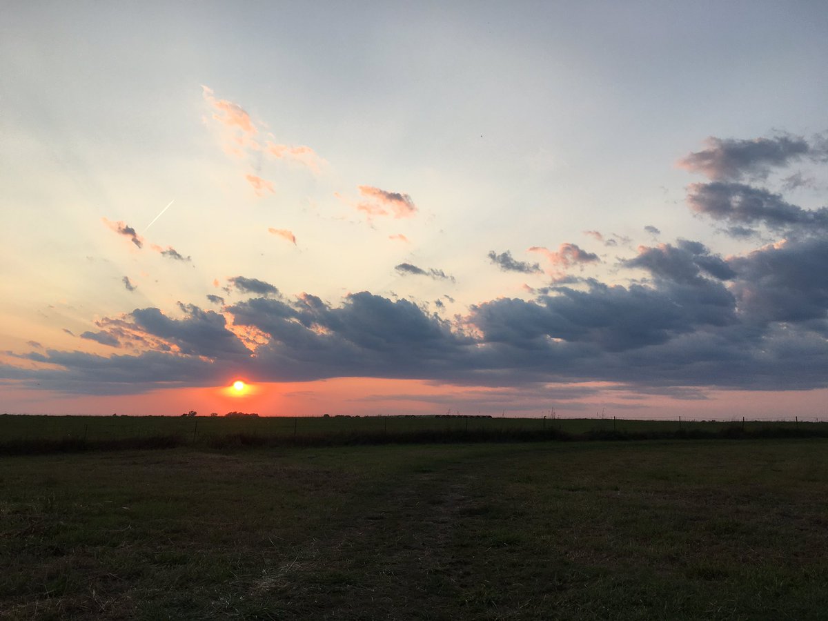 DrBrittonHart's tweet image. Love living in the country! #CountryProblems @Presfhtc @bjordan41 @curtis23833396 @amy16972965 @MistyDonder