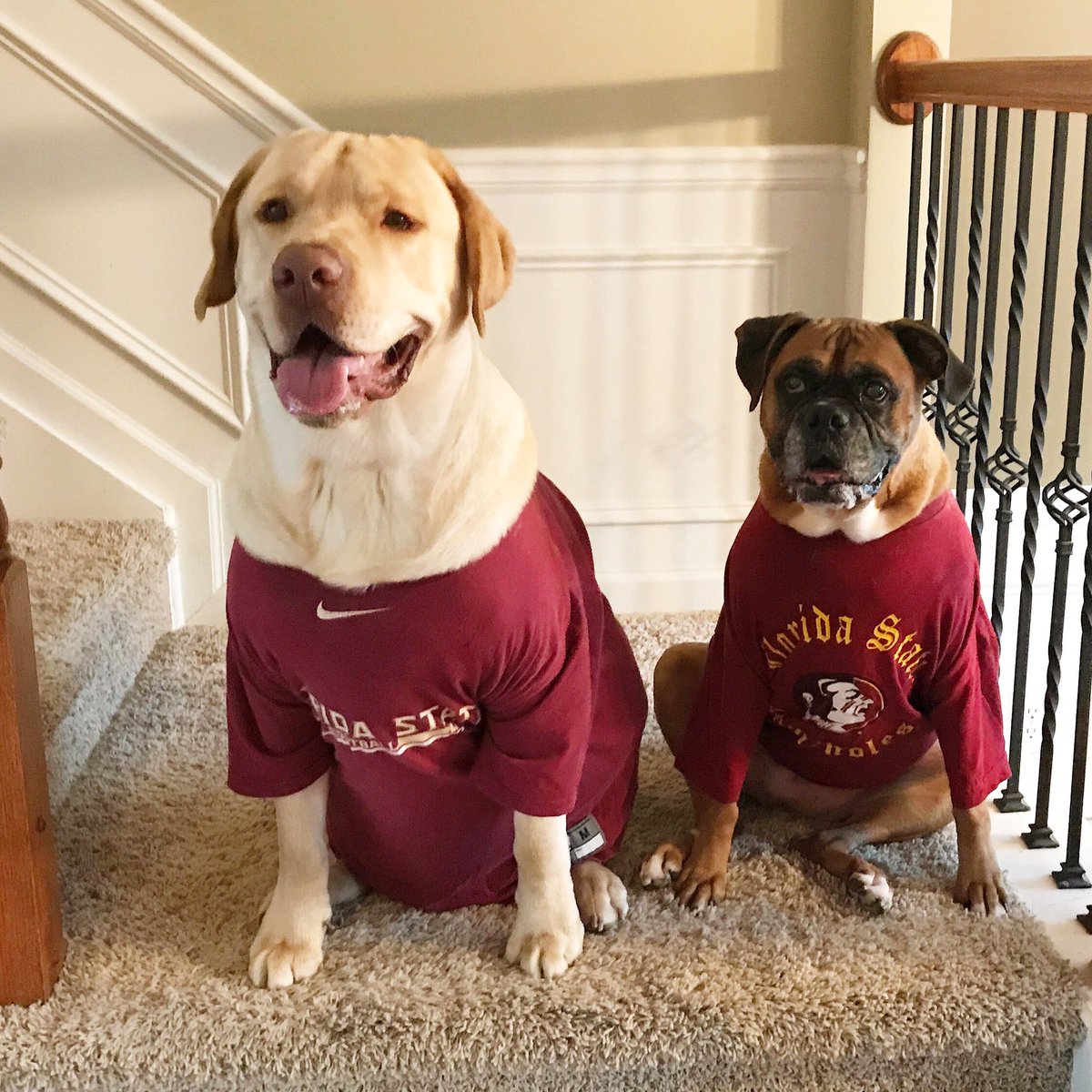 KuddlyKahlua's tweet photo. Go #Noles 🏈 #FSUvsBAMA @floridastate @FSUFootball https://t.co/8zmEfxPRTb