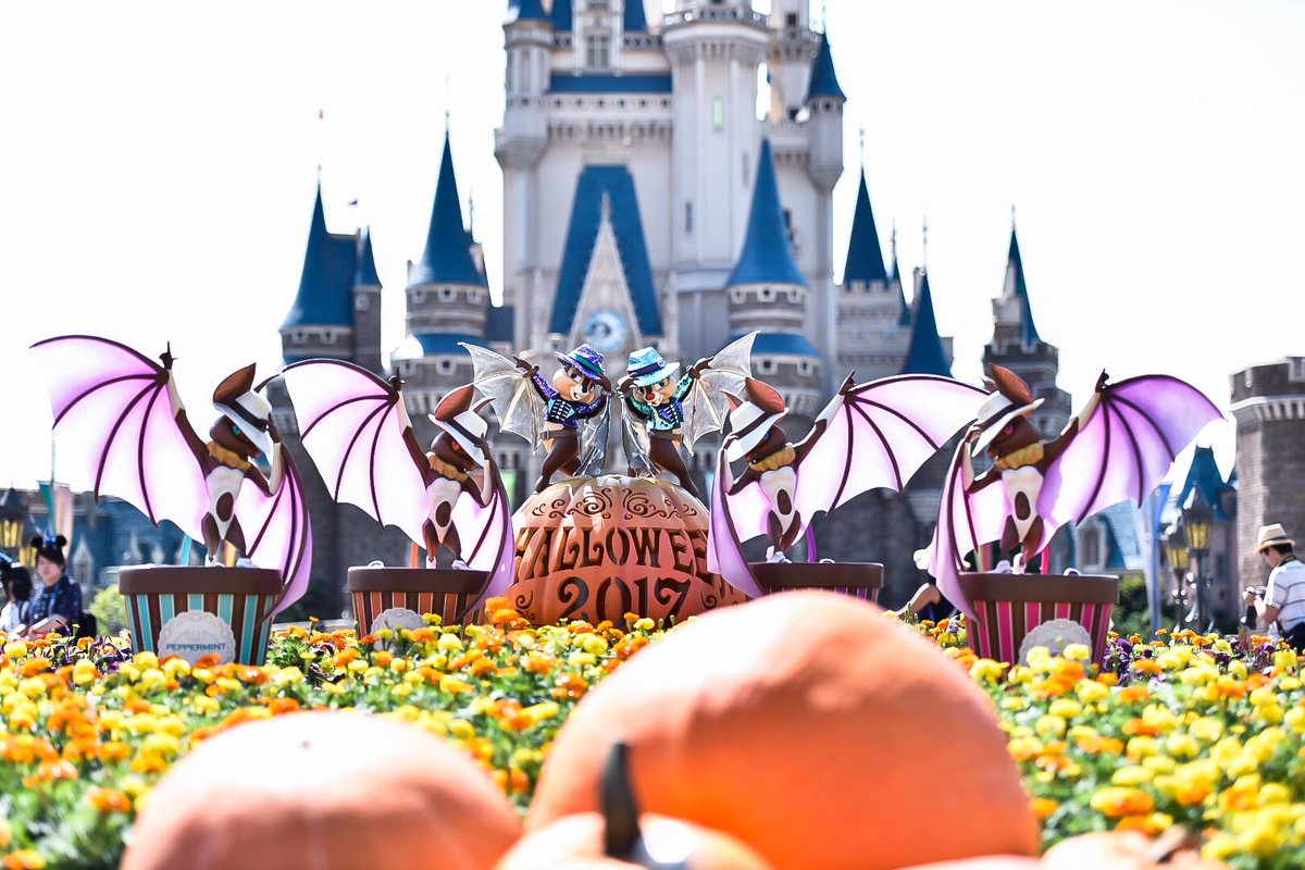 disneypotter999's tweet photo. チップとデールがシブい https://t.co/ZqTe4QBnZQ