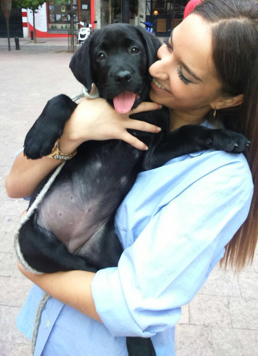 MDuea's tweet photo. Que peteña era... tres meses🐾😍 https://t.co/hAuiqg7jyl