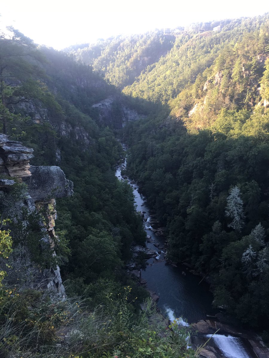 UNGSoftball's tweet photo. 2017 RBI Week - Event #4
One 'step' at a time -
Conquering one of Georgia's most beautiful destinations.
Tallulah Gorge State Park
#TFalls https://t.co/0TbSenaTBo