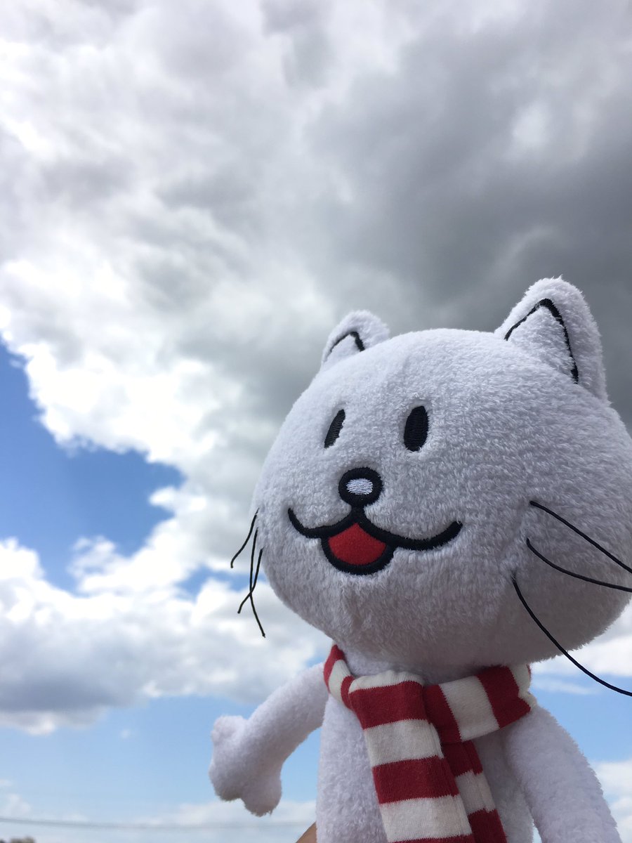 BOC79_keigo's tweet photo. ニコルぅぅぅ https://t.co/W7B9QpLF0F