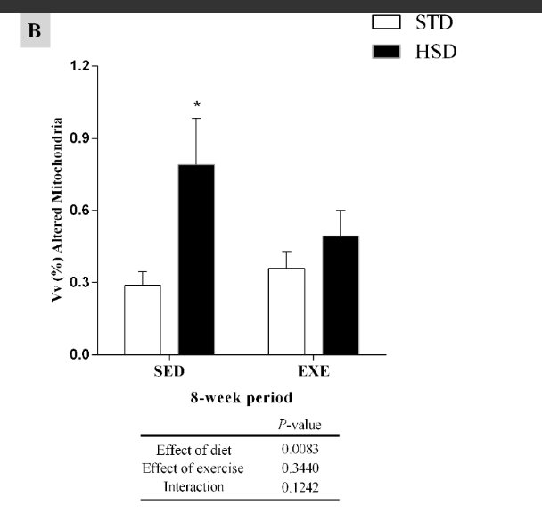 BlueSpotScience's tweet photo. This is interesting. Physical activity prevents mitochondrial alterations with a high-sugar diet https://t.co/j0cbhuIelm https://t.co/axfedB2vb6