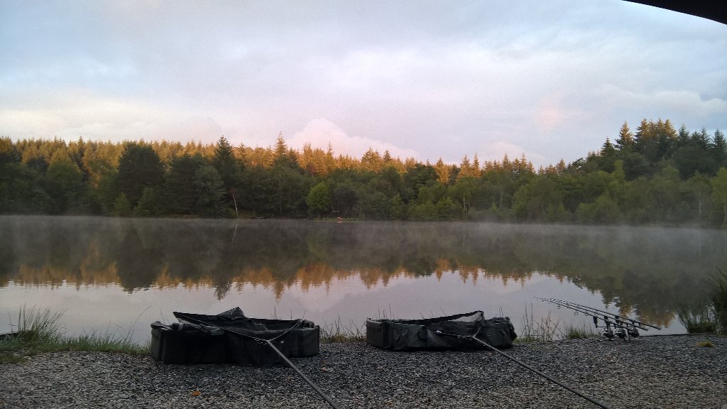 fyshpong's tweet photo. When you're not there you truly realise what you're missing. Stunning views @Forest_View_ , @JGuy_M with a beauty https://t.co/KEfJnBJiZN