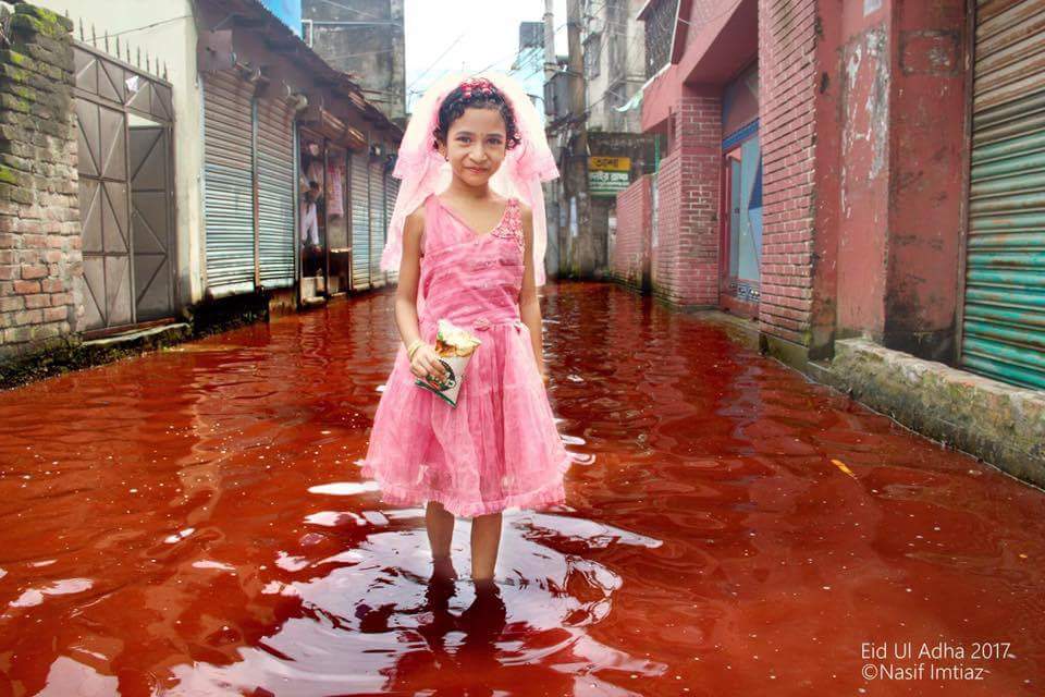 kaushkrahul's tweet photo. Photo clicked by Photo Journalist Nasif Imtiaz yesterday on Eid Ul Adha 2017 in Narayanganj, Bangladesh. https://t.co/fFTRhF4u3Z