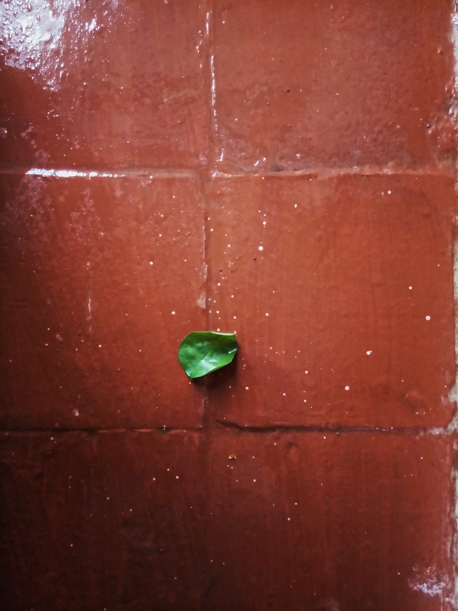 praddy98's tweet image. Standout. 
#rainplay #xperiaxa