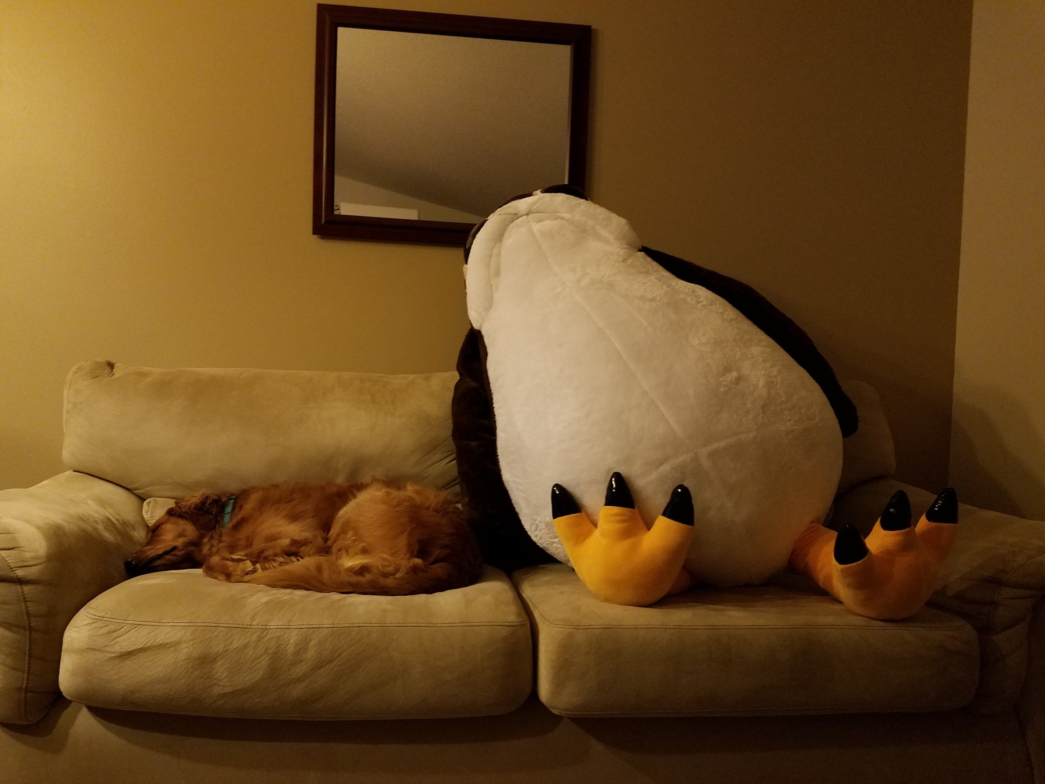 Giant Porg on Twitter: