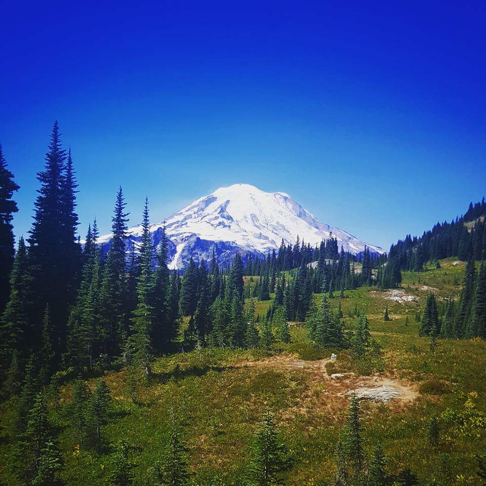 ShannonKean's tweet photo. My view early this morning! #MtRainier #Seattle #EvergreenState #NachesPeakLoop https://t.co/HNdCvn1vjK