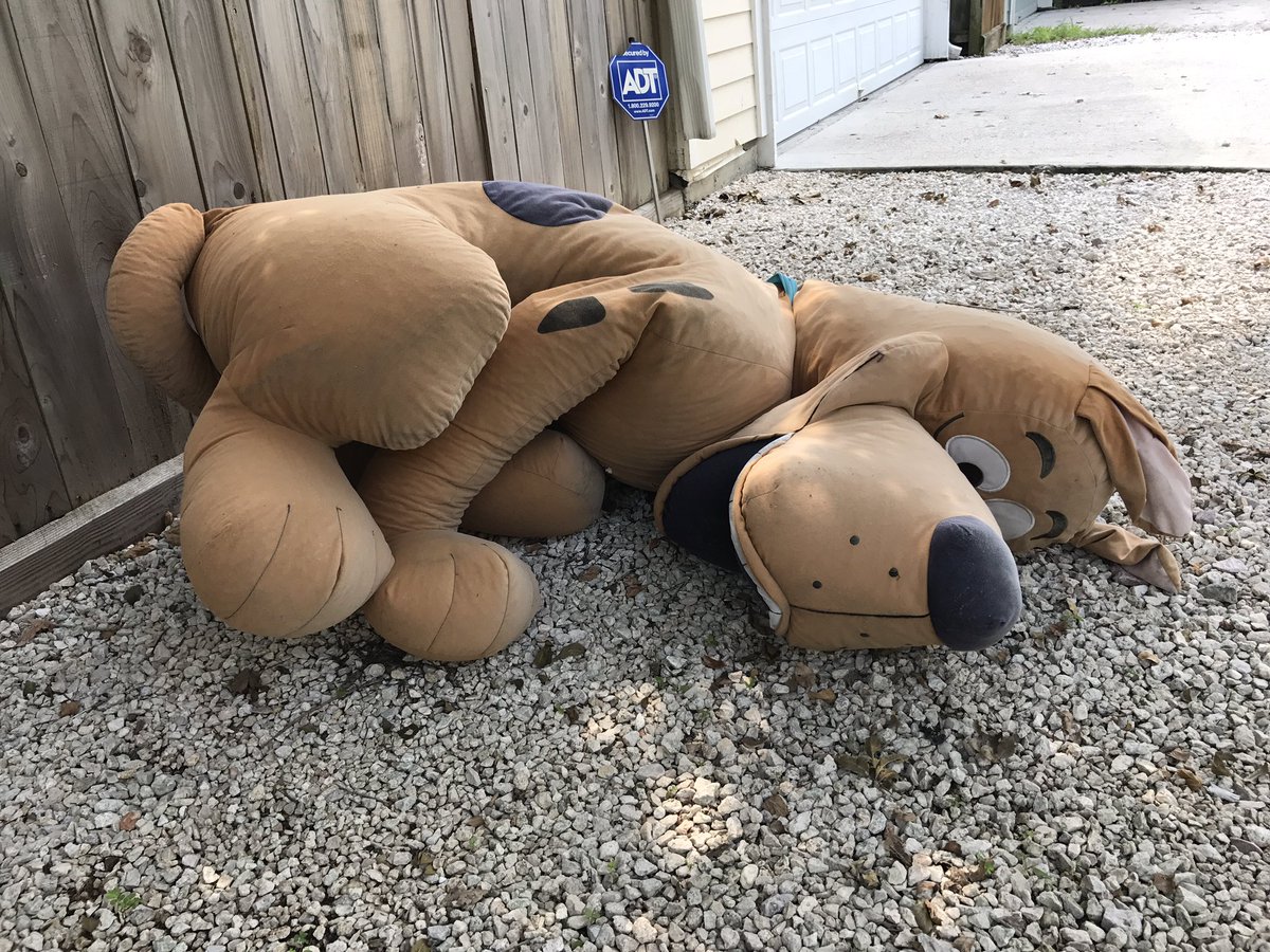 Sometimes life gives you lil positive signs (in an alleyway next to a line of garbage cans) if you're keep your eyes open... #HoustonFlood