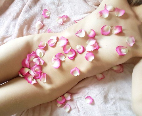 SwingersPartySi's tweet photo. w-y-s-f: Look at these pretty roses 🌸😍This is beautiful. Thank… https://t.co/KX3sKXHoA7 https://t.co/ZFnDJDZgZR