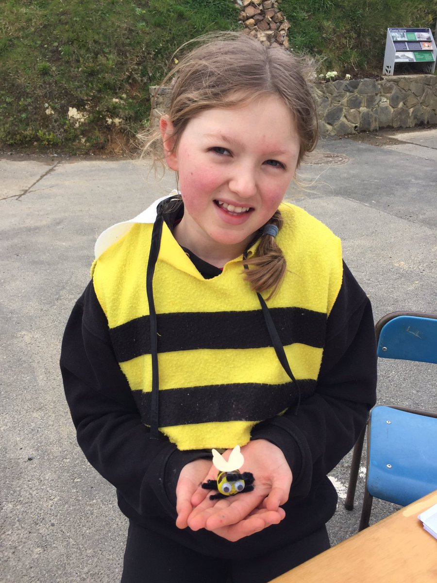 <a href="/labinaboxnz/">labinabox</a> with bees at Wellington Botanic Gardens. Buzz pollination &amp; bumble bee nests. Thanks @curiousmindsnz, <a href="/WgtnCC/">Wellington City Council</a> &amp; @apiculture_nz