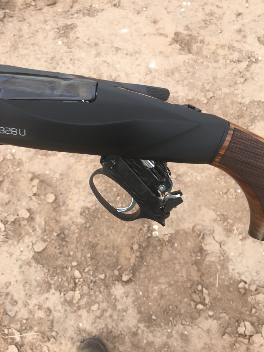 Shotgunworld New Benelli 828U Surprise