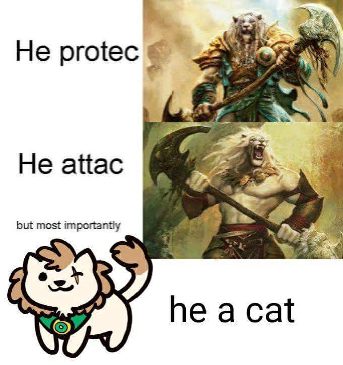 Kaisshadow's tweet photo. So far I have Ajani Unyielding in my Cat Commander Deck. Oppinions? #MTGC17 #Commander #cats #catdeck #morecathashtags #meow https://t.co/gYkS431Pyh