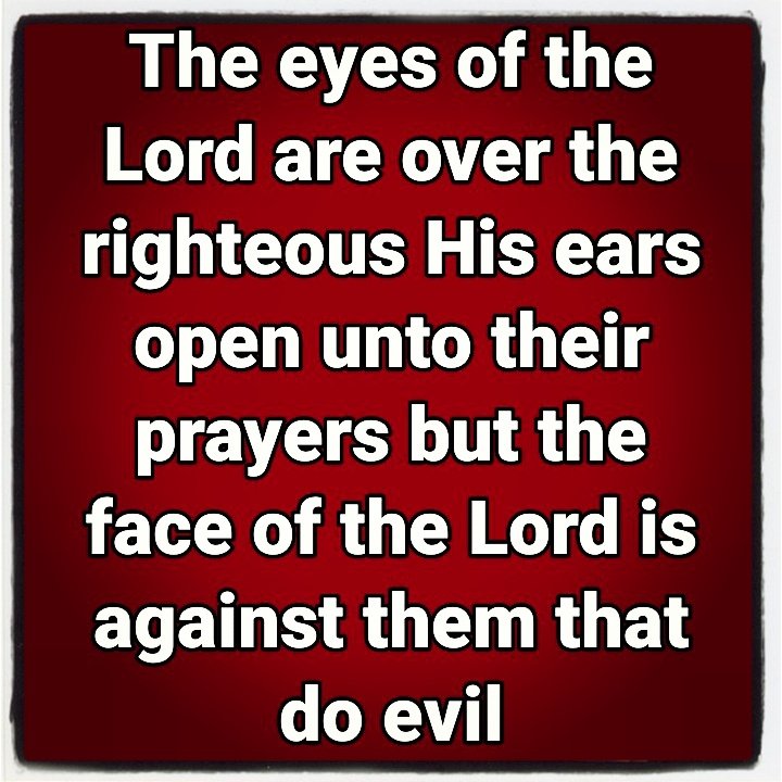 Rubedawg00's tweet image. 1 Peter 3:8-12 
#tenderhearted💖 #humble #blessed #good #Lord #Jesus👑 #saves✝ #hallelujah🙌 #amen🙏