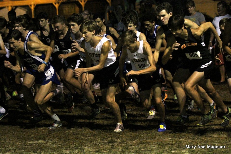 Jungle Run pics are up at nc.milesplit.com/photos/albums/…