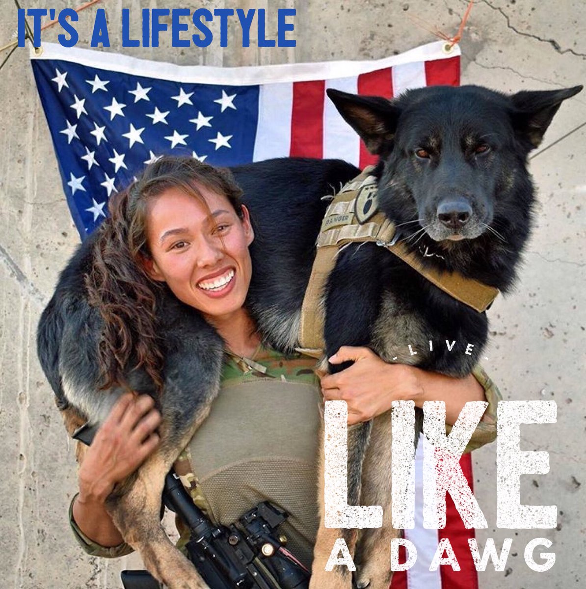 LiveLikeADawg's tweet photo. One picture says it all. Live like a dawg https://t.co/WXlp1Whu0P
