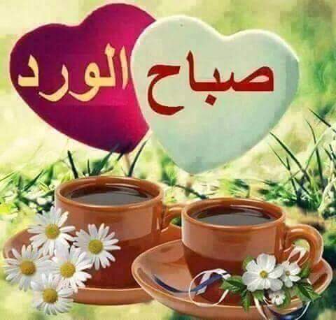 sur8000's tweet photo. صباح المحبة والتفاءل عليكم جميعاً https://t.co/9KL8QLqm8O