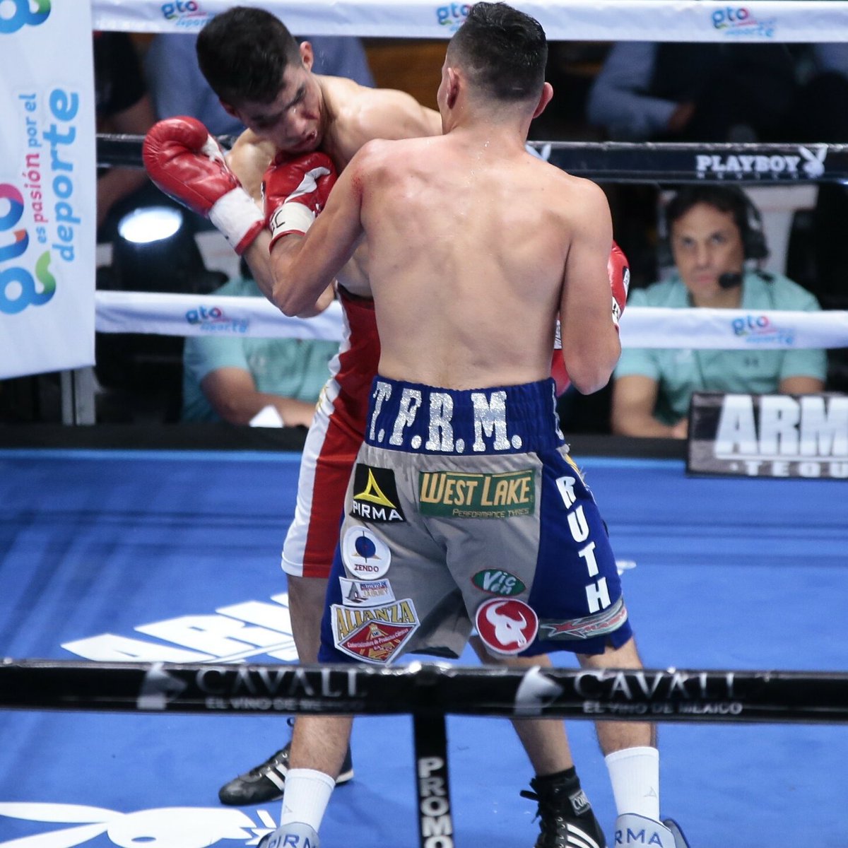 shokoyered's tweet photo. Gana Por k.O. @rockyhdez97 y mantiene su titulo y el invicto #SabadosDeBox #seystudio📷 https://t.co/mLs60c8Hce