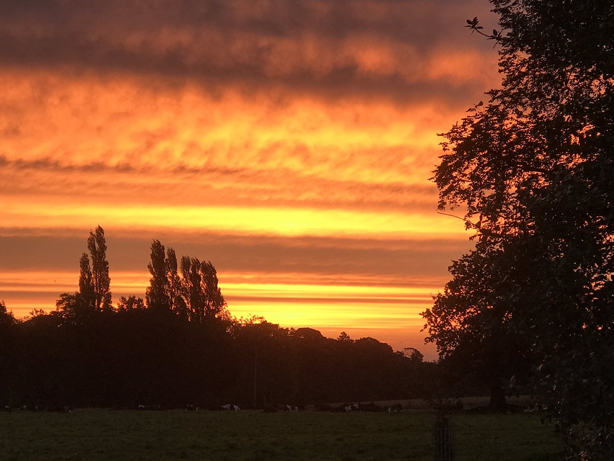 BostockHallEst's tweet photo. Stunning daybreak over #Bostock #Cheshire https://t.co/qmg9GFWZWA
