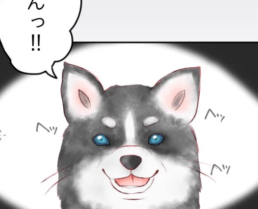シベリアンハスキーすき 