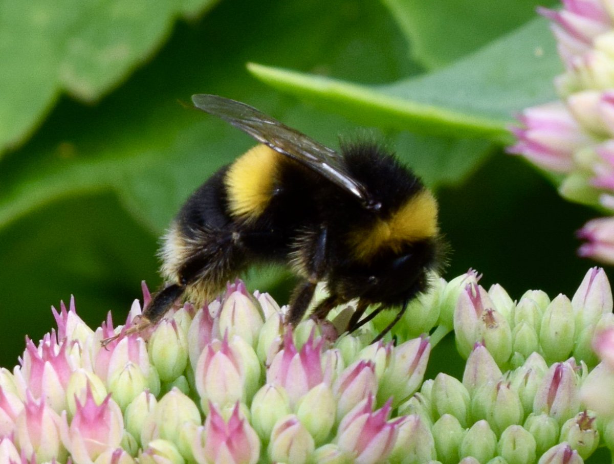 Karen Kelly tweet media