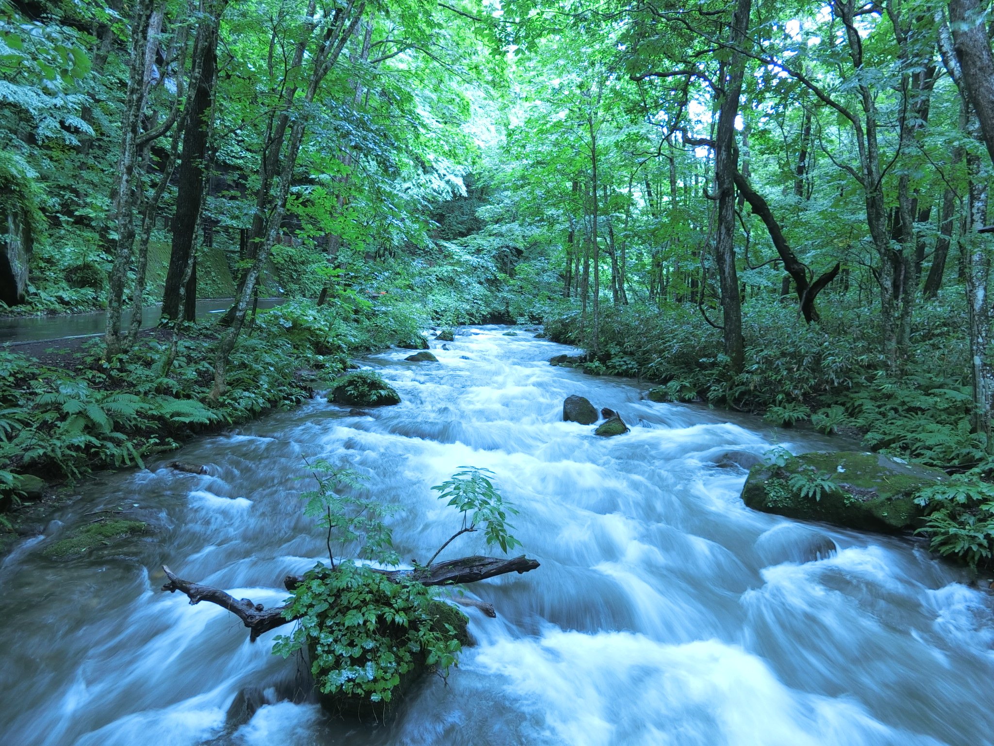 Lirio お盆の旅行 奥入瀬 遠野 花巻 の写真を毎日少しずつ貼っていきます 毎日2ツイート程度にするのでご容赦下さい 最初は奥入瀬から T Co Cvjkihvrah Twitter Lirio お盆の旅行 奥入瀬 遠野 花巻 の写真を毎日少しずつ貼っていきます 毎日2ツイート程度にするのでご容赦下さい 最初は奥入瀬から T Co Cvjkihvrah Twitter
