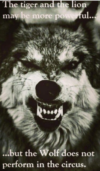 BlackpoolKeysi's tweet photo. #bethewolf #keysibyjustodieguez #keysiblackpool #keysiselfdefence #keysinorthwest #martialartsblackpool #selfdefenceblackpool #fitness https://t.co/1y99AcRYBB