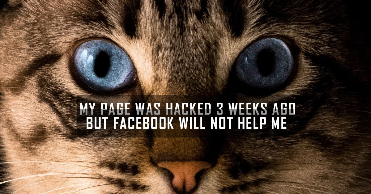 peterguiliano's tweet photo. #Facebook https://t.co/0PXQdWEKXn https://t.co/SaECrp3E87