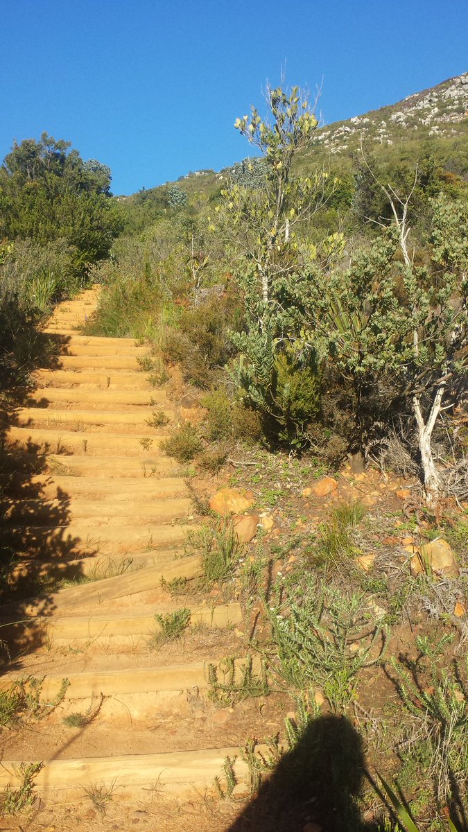 warlockracing's tweet photo. Nursery Ravine Table Mountain  this morning down Constancia Neck https://t.co/tK5BwQ3RVi