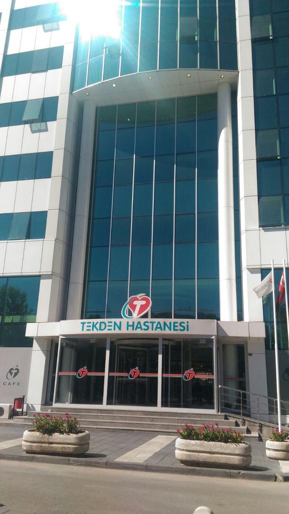 ayse kurtoglu aysekurtoglu7 twitter