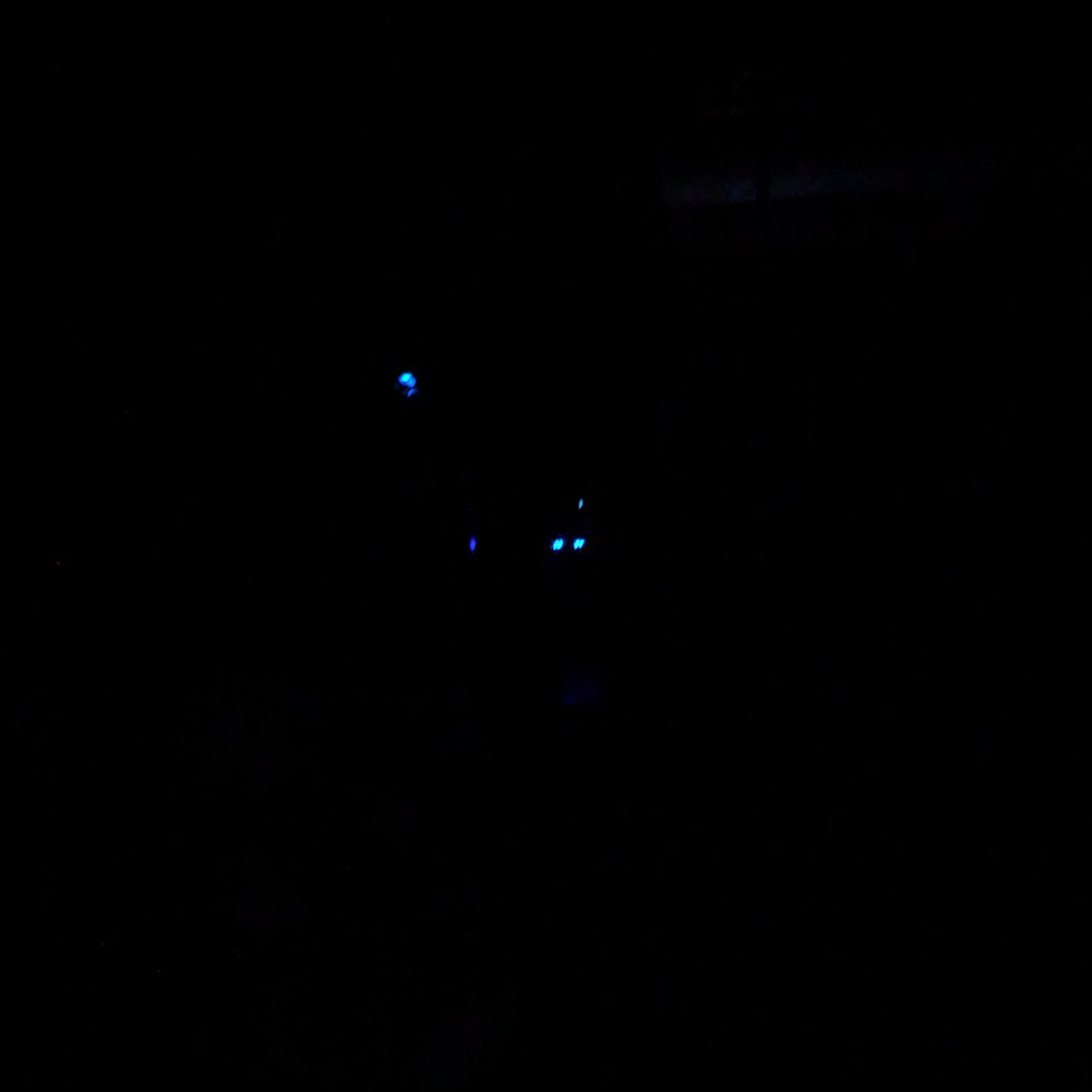 the_abi_kat's tweet photo. Groggily opened my eyes to this and nearly shit myself thinking there were white walkers in my parents rec room. #GameOfThronesProblems https://t.co/9ameh3tSLn