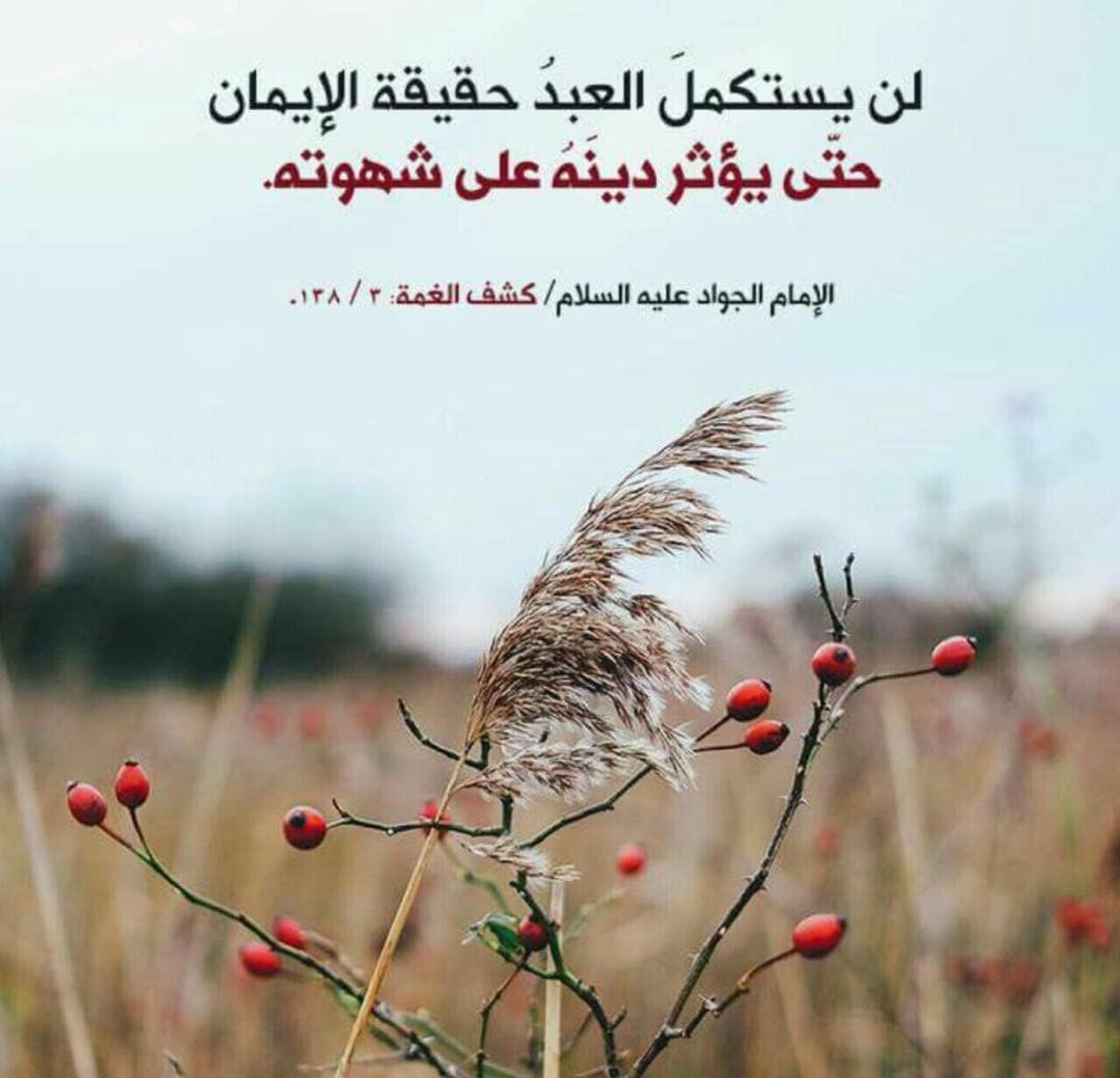Ya7osain's tweet photo. 💠 حقيقة الإيمان 💠

#حديث_آل_محمد 

@4Shia 
@RT2SH 

. https://t.co/hptsCPLS6M