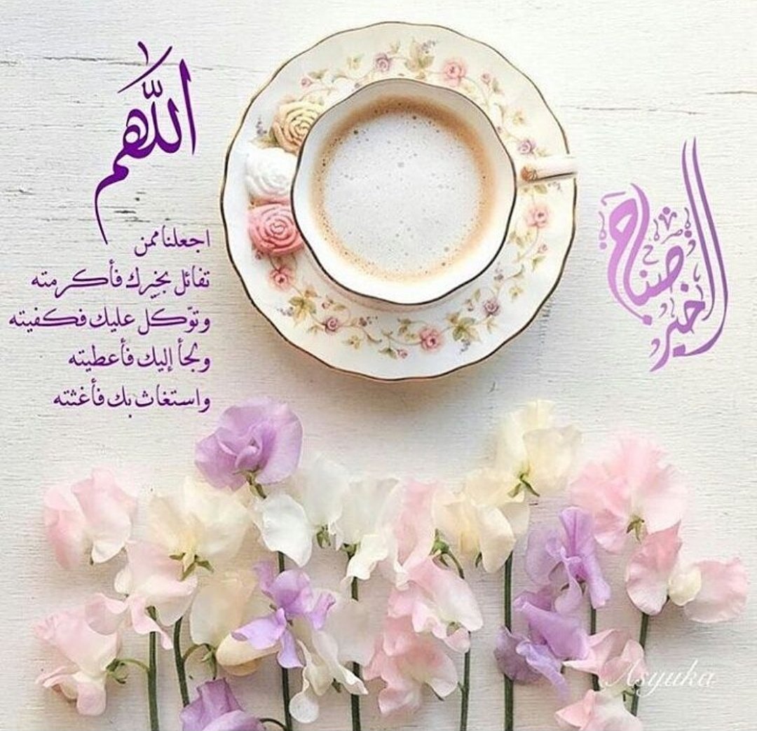 IIPADUAE's tweet photo. . ان أعجبناك فتحدث عنا ... وإن لم نعجبك فتحدث الينا 🌺🍃 .
#الإمارات #السعودية #الكويت#التدريب #القانون #الاعلام #التقارير #المشكلات #الابداع https://t.co/Vouz7o90wK